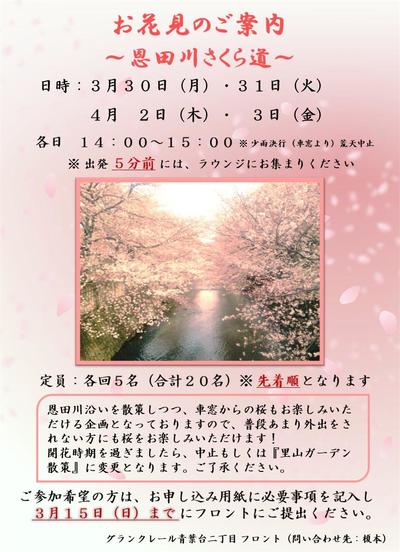 お花見ポスター&申し込み用紙.jpg