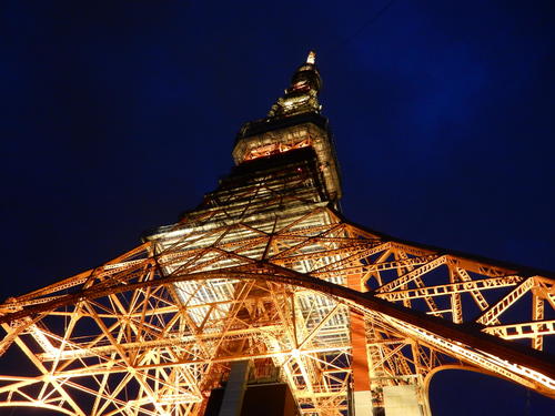 東京タワー　外観夜景.JPG
