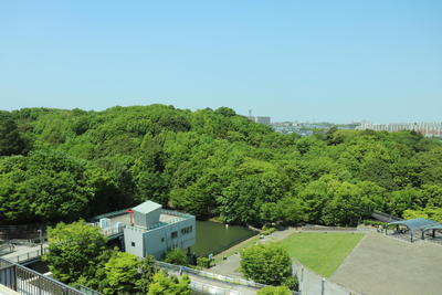 新緑の都筑中央公園.JPG