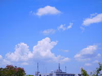 空の雲.JPG