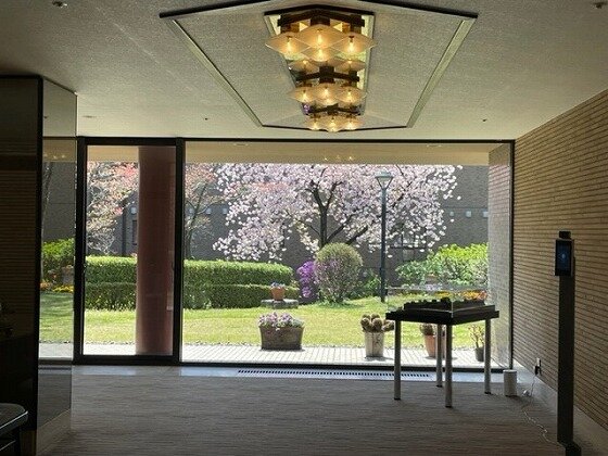 玄関からの桜.jpg