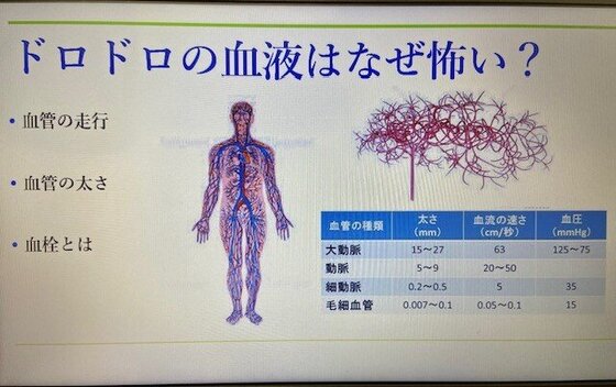血管.jpg